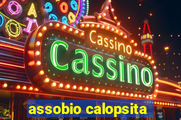 assobio calopsita